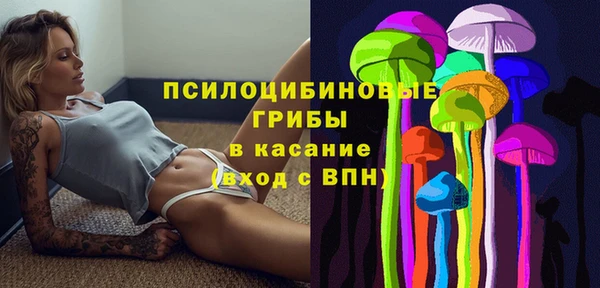 гашик Нея