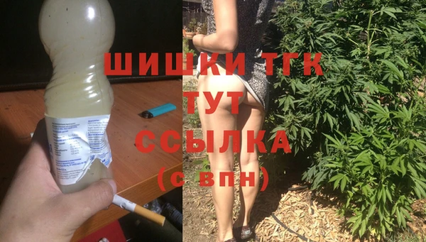 гашик Нея