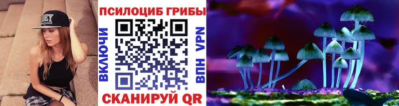 Купить закладки  Ишим  Галлюциногенные грибы ЛСД 